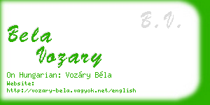 bela vozary business card